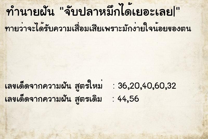 ทำนายฝัน จับปลาหมึกได้เยอะเลย| ทำนายฝัน จับปลาหมึกได้เยอะเลย|